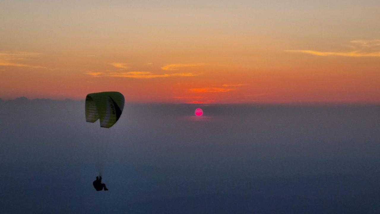 La Belle Histoire Gite Ventoux ベドアン エクステリア 写真